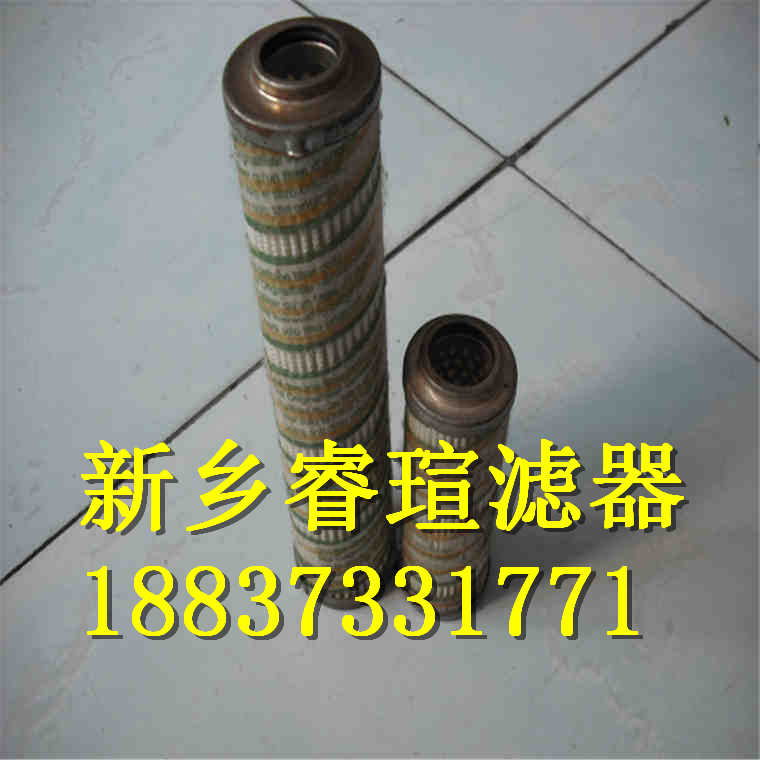 EPE滤芯1.901G100-A-00-0-P